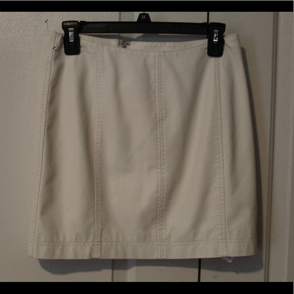 Vegan Leather Mini Skirt (Never Worn No Tags)